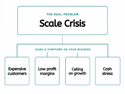 Scale Crisis creates four visible business symptoms: expensive customers, low profit margins, a ceiling on growth, and cash stress.