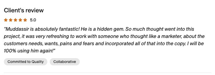 Upwork review: Brainhive Facebook ads engagement